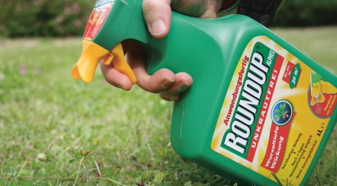 Unkrautvernichtungsmittel "Round-Up" von Monsanto